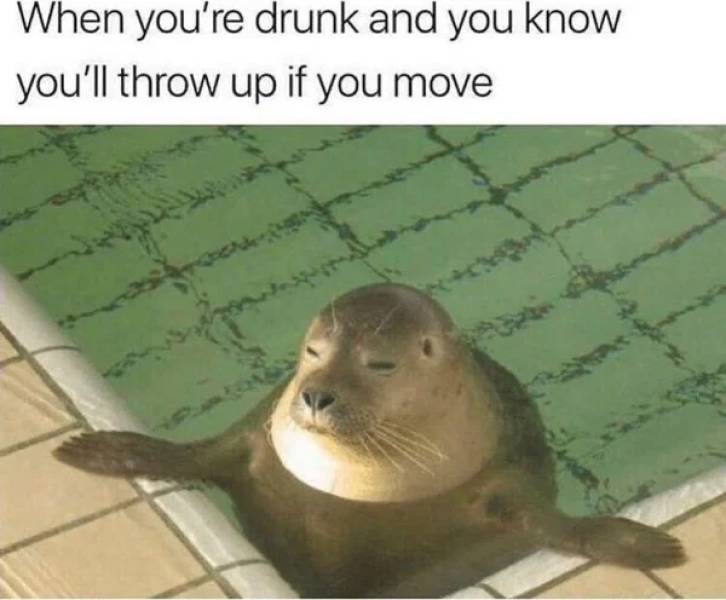 Wasted Indeed…