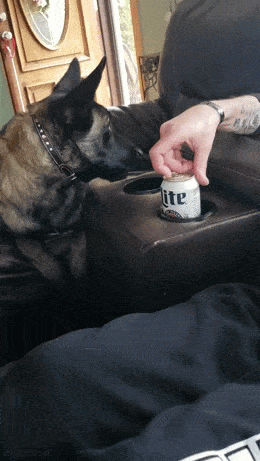 drinking time 42 pics 6 gifs 14.html - 42 HD GIF | Premium Gallery 2024