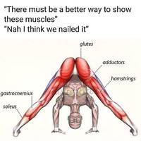 which one is better video.html - 1 HD Video | Premium Gallery 2024
