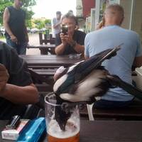 funny picdump 53 pics 9.html - 53 HD Photos | Premium Gallery 2015