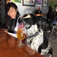 funny picdump 53 pics 34.html - 53 HD Photos | Premium Gallery 2019