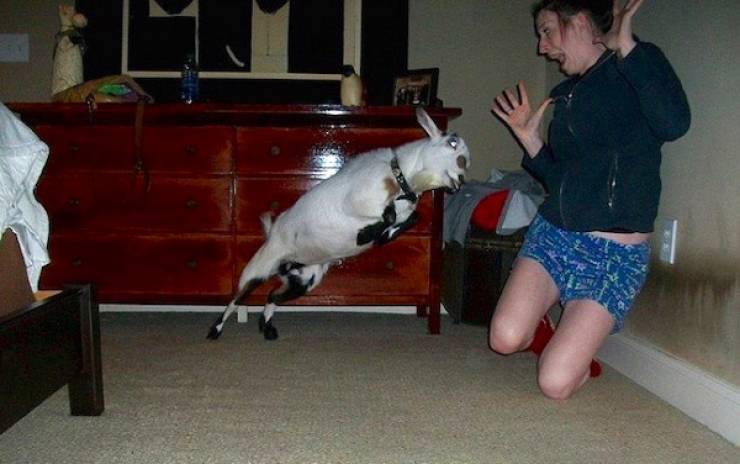 seconds before everything went wrong 37 pics 1.html - 37 HD Photos | Premium Gallery 2026