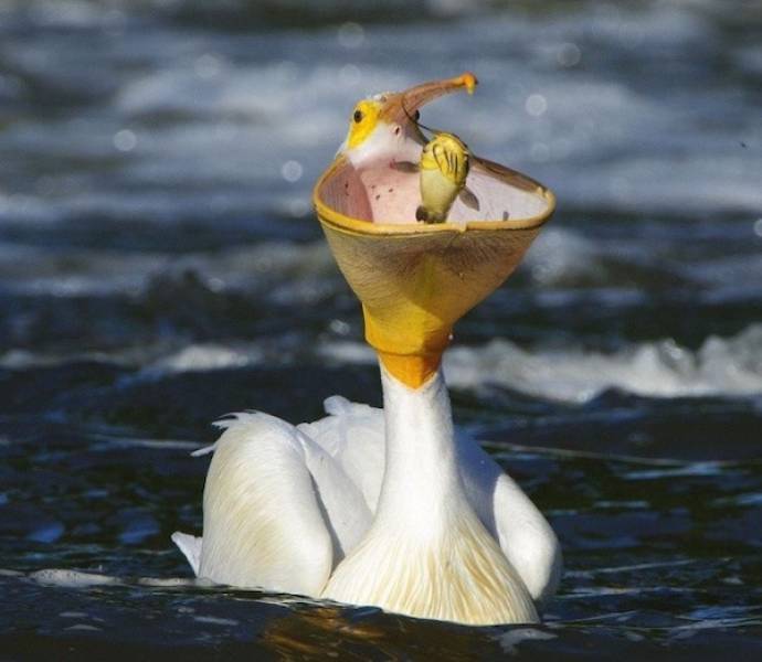 seconds before everything went wrong 37 pics 1.html - 37 HD Photos | Premium Gallery 2026