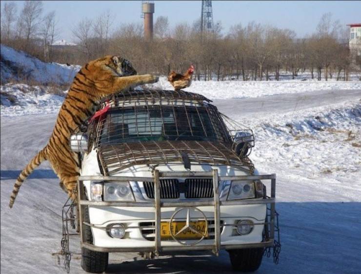 seconds before everything went wrong 37 pics 1.html - 37 HD Photos | Premium Gallery 2026