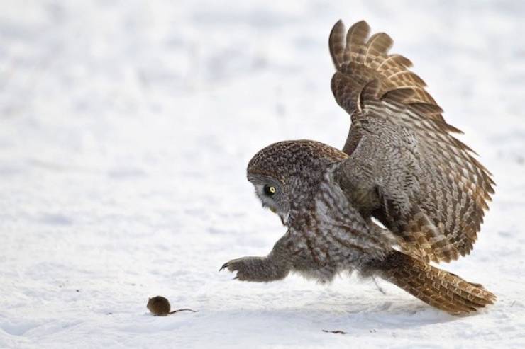 seconds before everything went wrong 37 pics 1.html - 37 HD Photos | Premium Gallery 2026