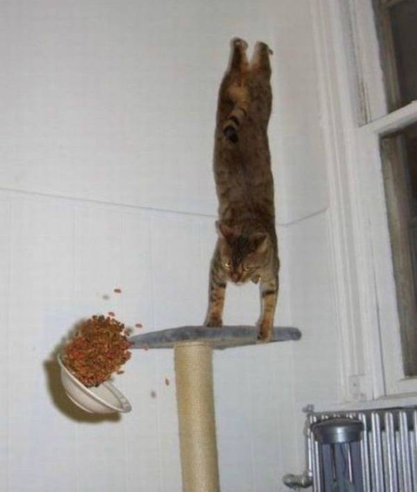 seconds before everything went wrong 37 pics 1.html - 37 HD Photos | Premium Gallery 2026