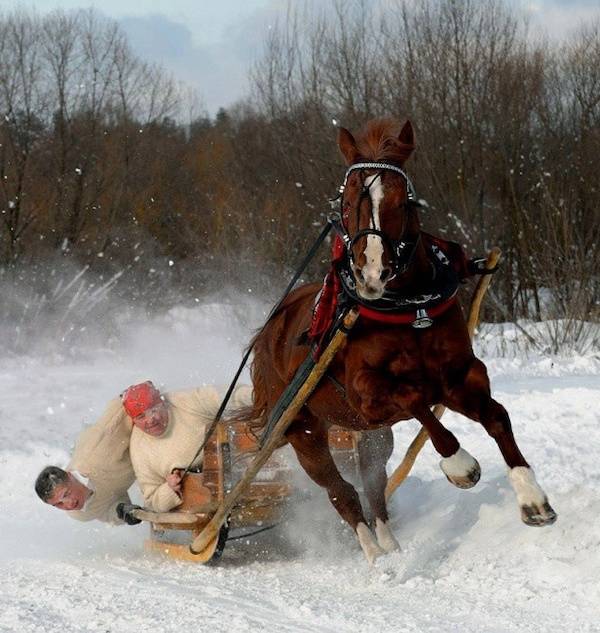 seconds before everything went wrong 37 pics 1.html - 37 HD Photos | Premium Gallery 2026