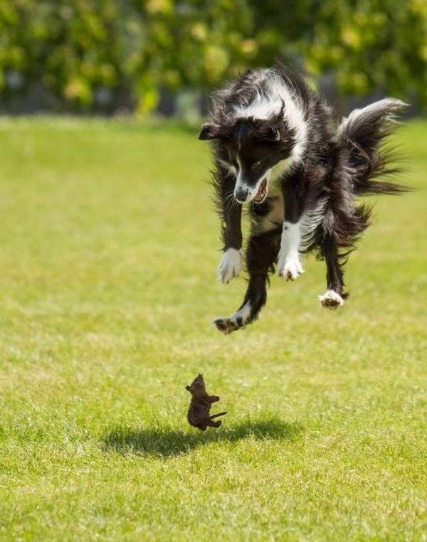 seconds before everything went wrong 37 pics 1.html - 37 HD Photos | Premium Gallery 2026