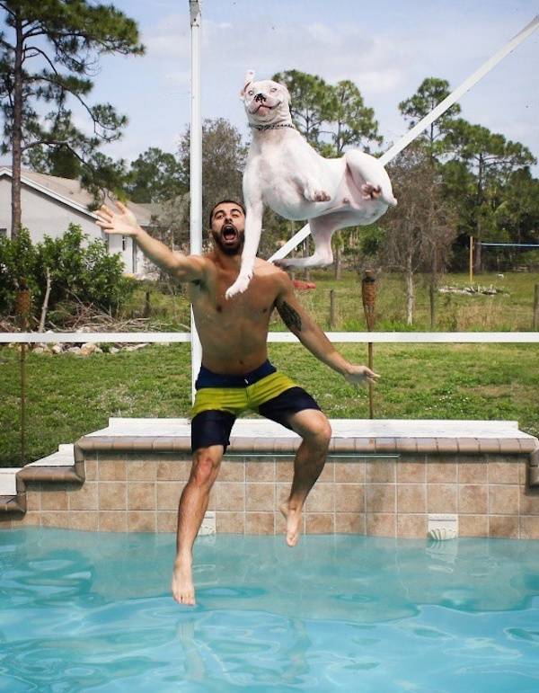 seconds before everything went wrong 37 pics 1.html - 37 HD Photos | Premium Gallery 2026