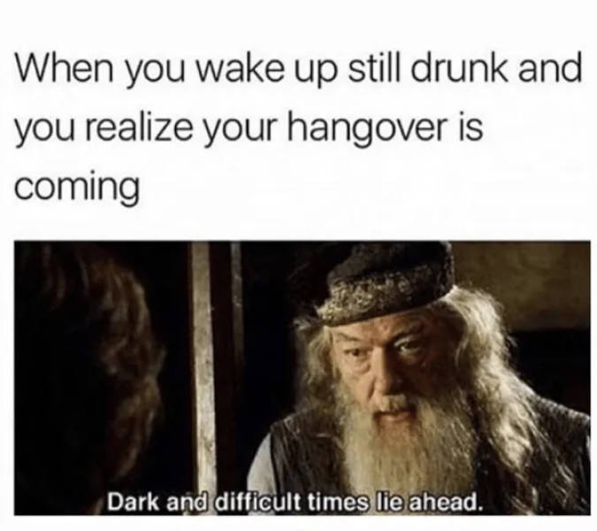 drinking never ends 35 pics 3.html - 35 HD Photos | Premium Gallery 2026