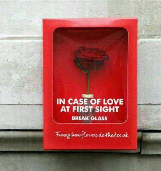 Daily Picdump [WEEKEND EDITION]