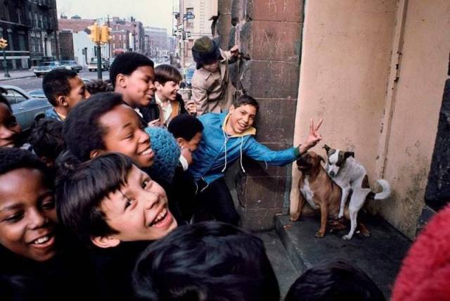 daily picdump 101 pics 2.html - 101 HD Photos | Premium Gallery 2018