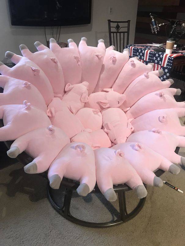 Questionable Idea, Perfect Execution