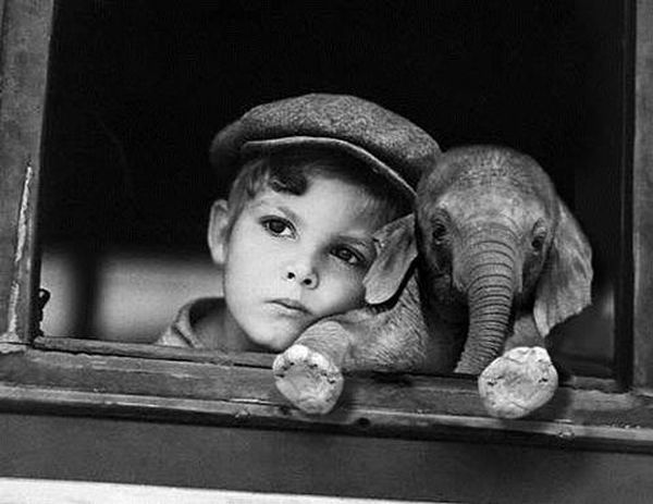 Retro photos (46 pics)
