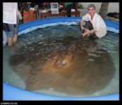 Curiosities and bonus pictures