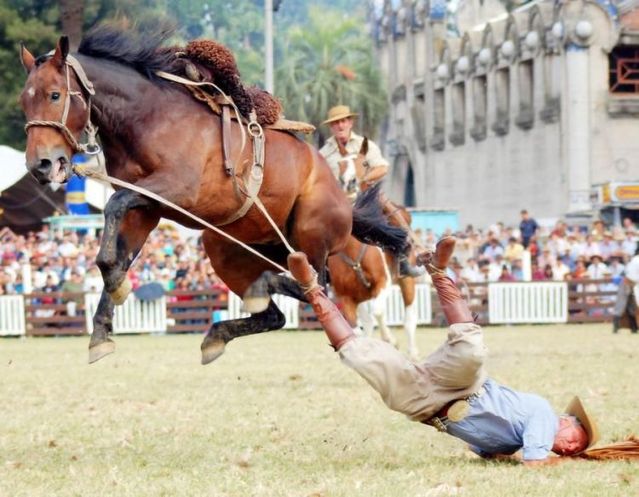 Daily picdump (86 pics)