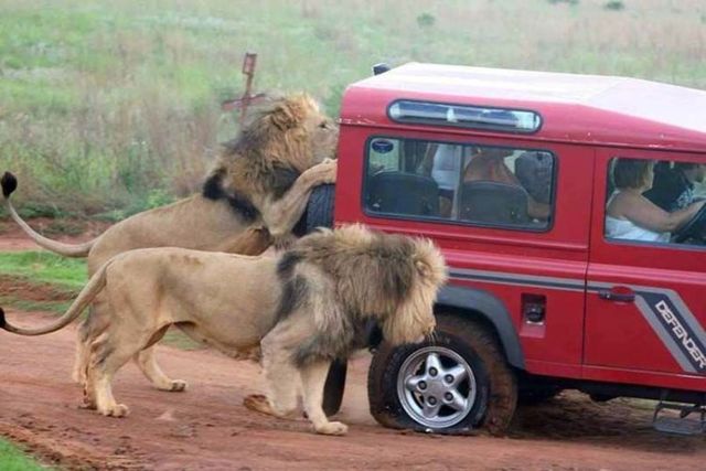 Daily picdump (122 pics)