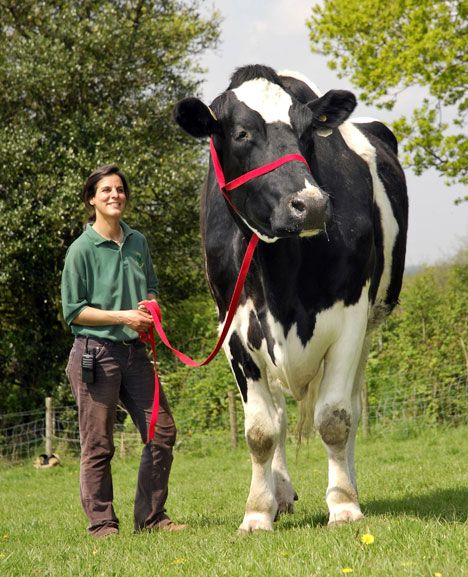 Daily picdump (103 pics)