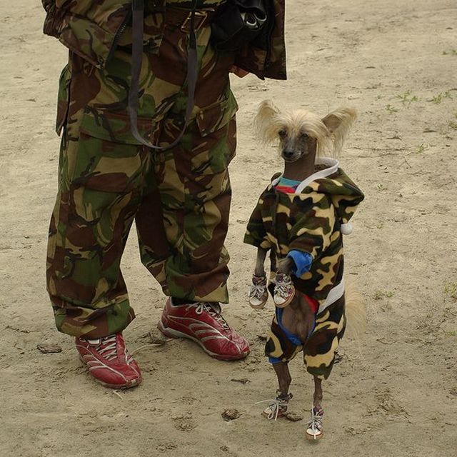 Daily picdump (138 pics)