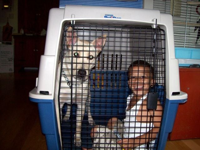 Children in cages (30 pics)