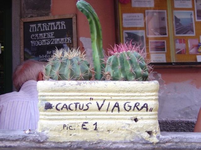 Daily picdump (118 pics)