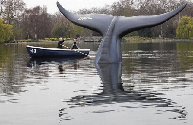 Daily picdump (118 pics)