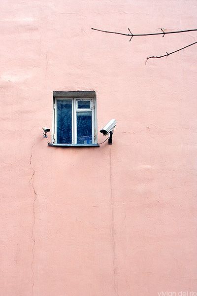 Daily picdump (118 pics)