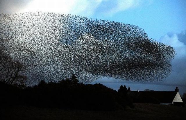 Daily picdump (118 pics)