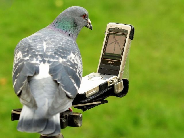Daily picdump (120 pics)