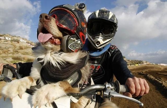 Daily picdump (159 pics)