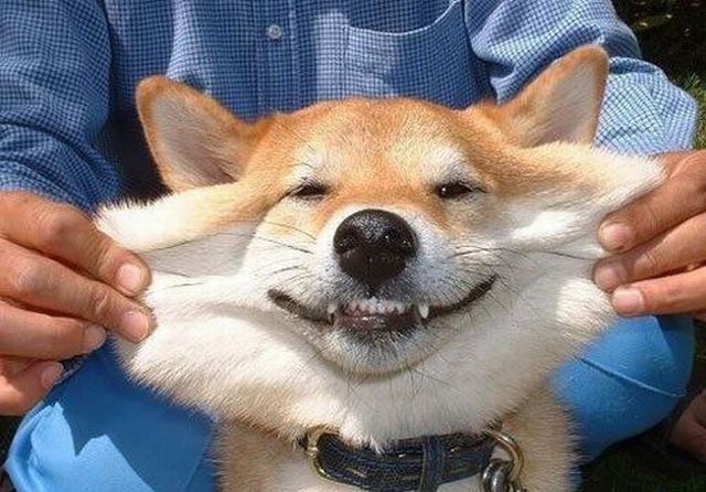 Daily picdump (120 pics)