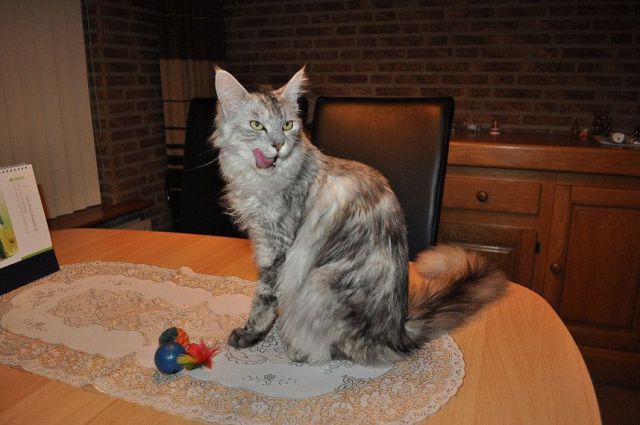 morning picdump 58 pics 11.html - 58 HD Photos | Premium Gallery 2011
