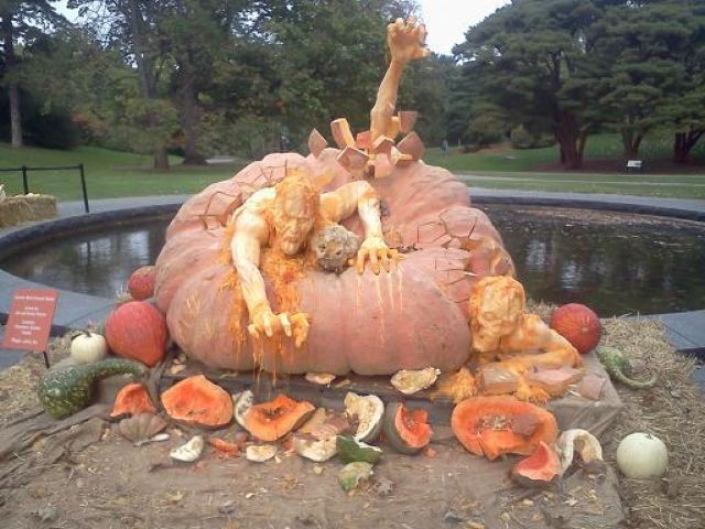 morning picdump 58 pics 11.html - 58 HD Photos | Premium Gallery 2011