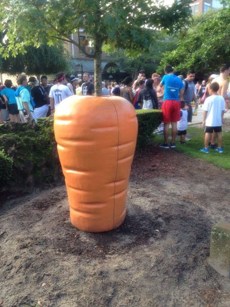 Morning Picdump
