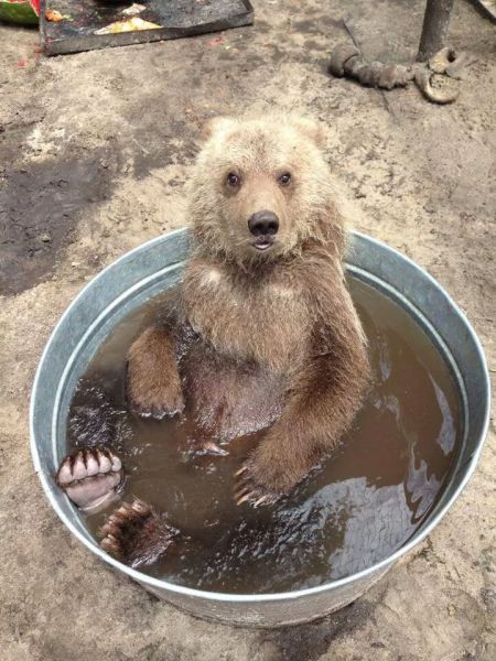 morning picdump 58 pics 4.html - 58 HD Photos | Premium Gallery 2014