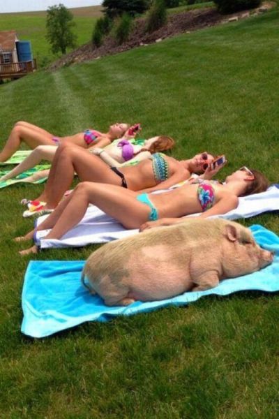 morning picdump 58 pics 4.html - 58 HD Photos | Premium Gallery 2014