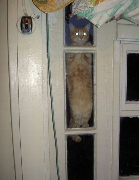 morning picdump 58 pics 4.html - 58 HD Photos | Premium Gallery 2014