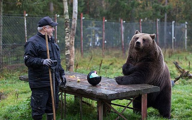 daily picdump 92 pics 2.html - 92 HD Photos | Premium Gallery 2014
