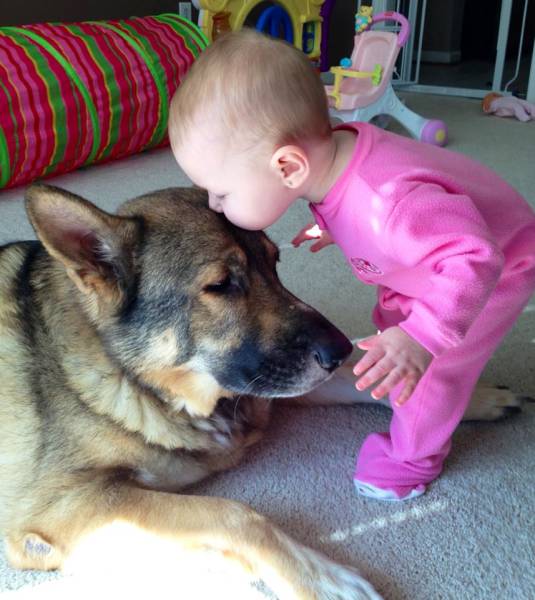 Morning Picdump
