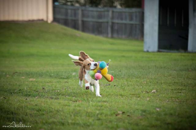 morning picdump 58 pics 9.html - 58 HD Photos | Premium Gallery 2015