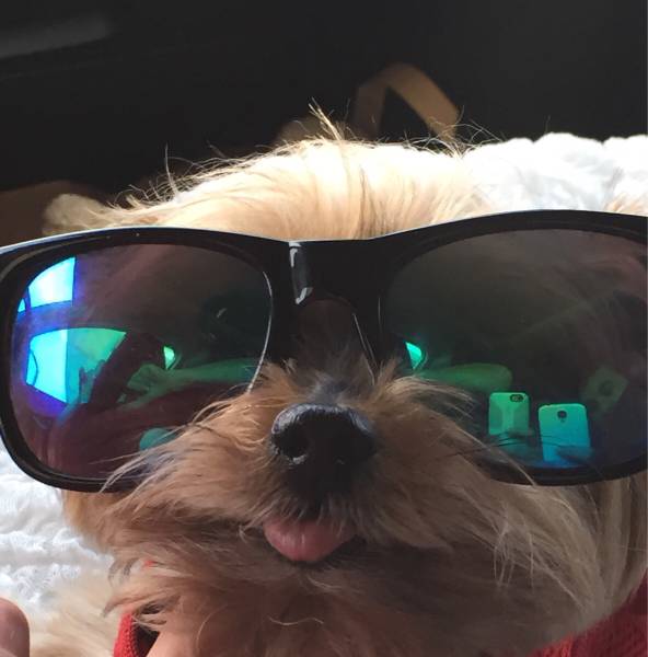 morning picdump 58 pics 9.html - 58 HD Photos | Premium Gallery 2015