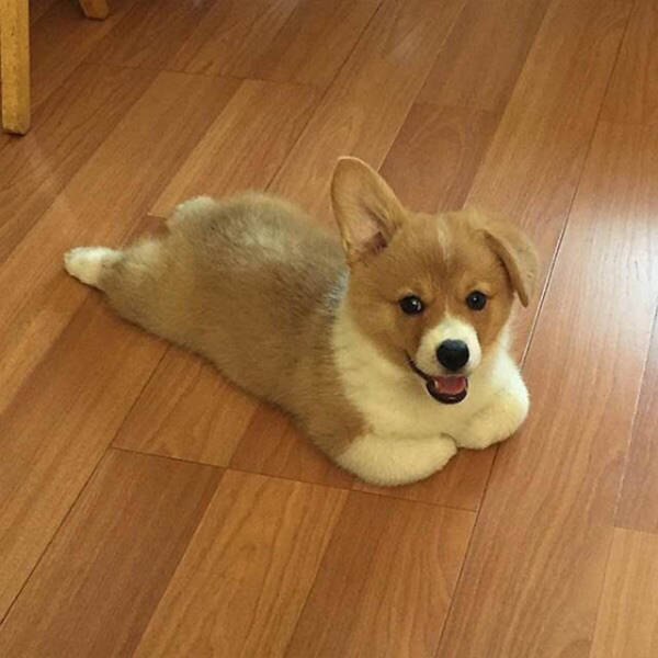Morning Picdump