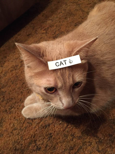 morning picdump 52 pics 2.html - 52 HD Photos | Premium Gallery 2016
