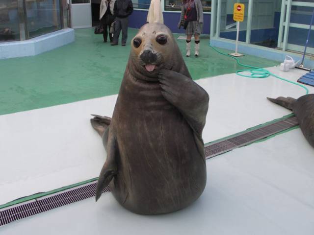 morning picdump 52 pics 2.html - 52 HD Photos | Premium Gallery 2016