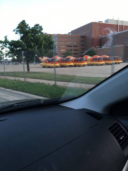 morning picdump 52 pics 2.html - 52 HD Photos | Premium Gallery 2016