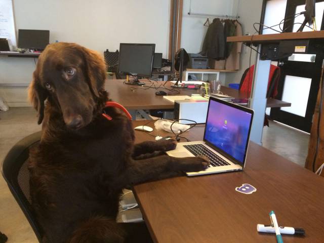 daily picdump weekend edition 58 pics 2.html - 58 HD Photos | Premium Gallery 2016