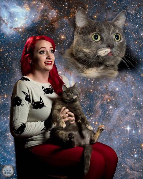 daily picdump weekend edition 58 pics 2.html - 58 HD Photos | Premium Gallery 2016
